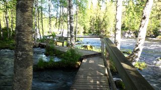 Käylänkoski walkway