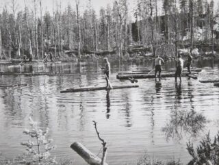 Floating logs in Kuusamo